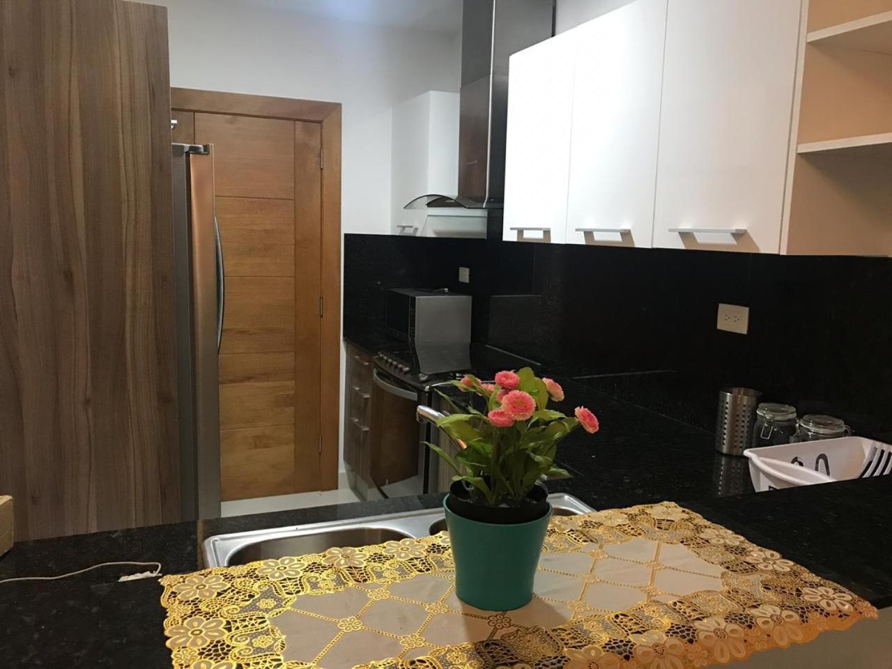 Villa Palmera XVIII Santo Domingo Dış mekan fotoğraf